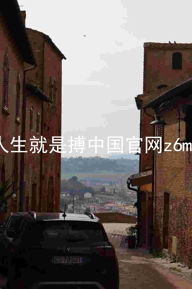 人生就是搏中国官网z6mg